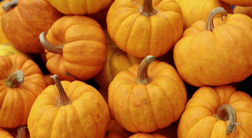 Halloween events near me 2025 Burnham-on-Crouch Essex - photo of pumpkins