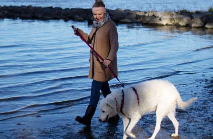An image of a dog walker enjoying Burnham on Crouch in Essex villages to visit.